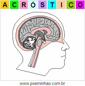 Acróstico de Cerebro Humano